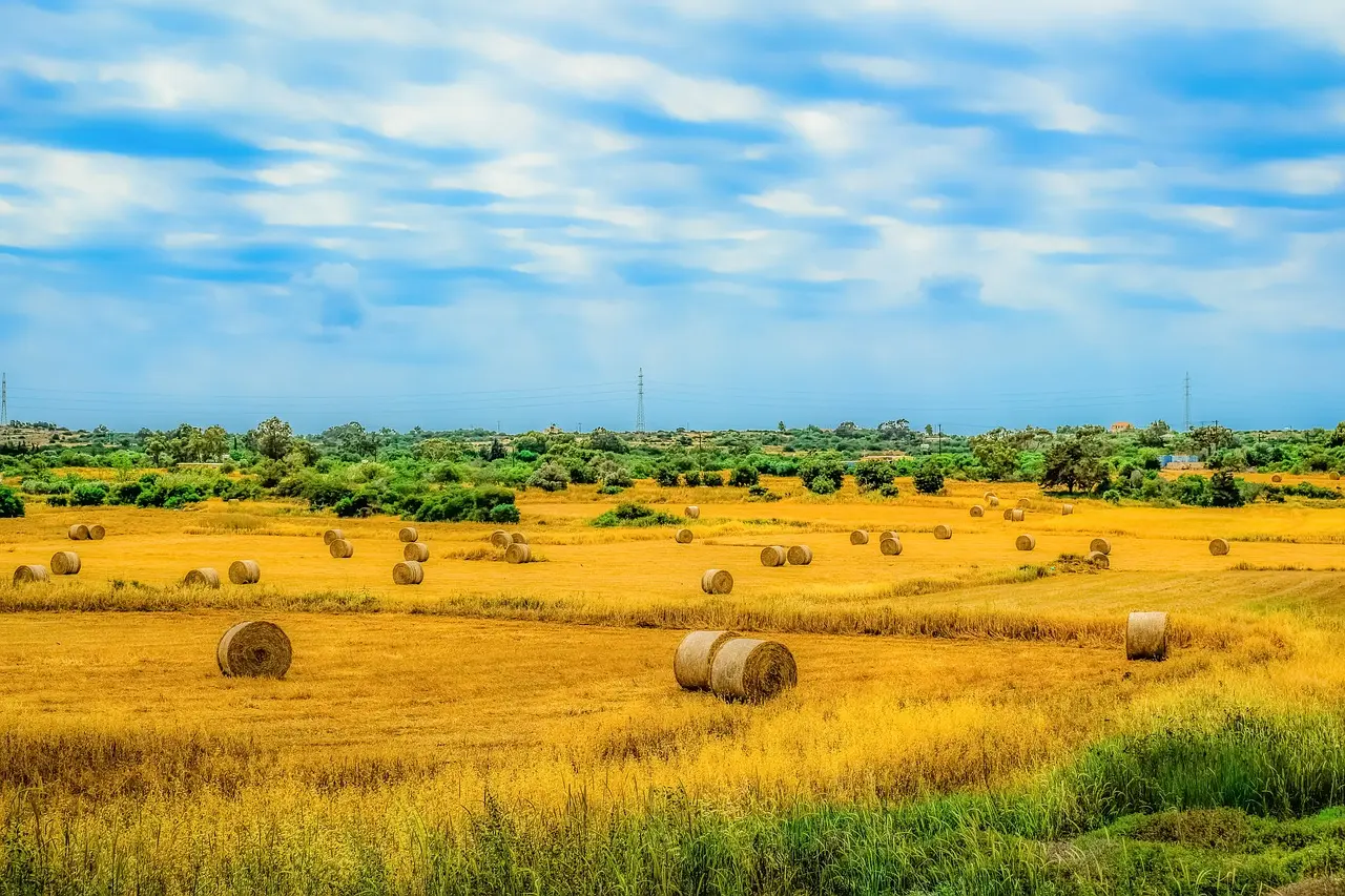 Ενισχύονται οι γεωργοί μετά τις ζημιές της πανδημίας του κορωνοϊού