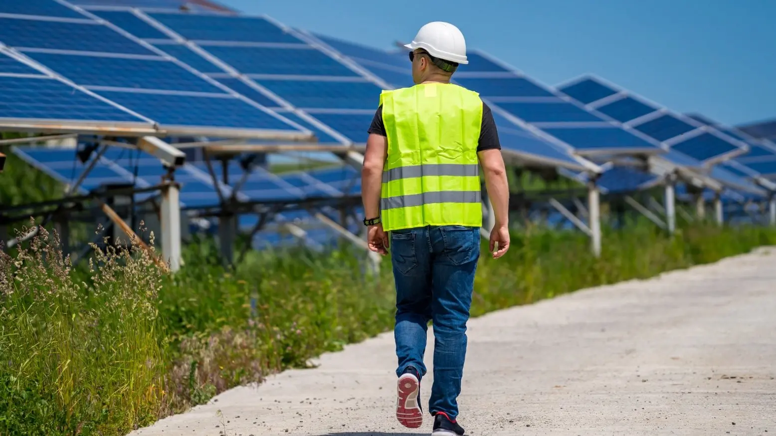 ΑνΑΔ: Μεγάλες αλλαγές φέρνει η πράσινη μετάβαση στην αγορά εργασίας