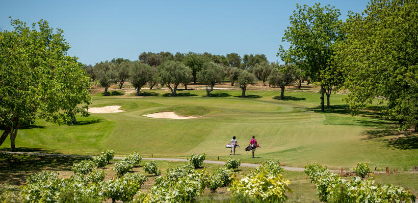 Minthis: Οικοδομώντας ένα βιώσιμο μέλλον