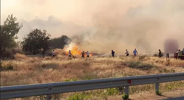 Αίτημα στις Βρυξέλλες για απλοποιημένες διαδικασίες επιχορηγήσεων στους πληγέντες παραγωγούς