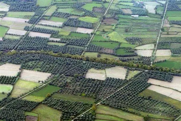 ΥΠΕΣ: Προς ρύθμιση η διάθεση κρατικής γης για ΑΠΕ