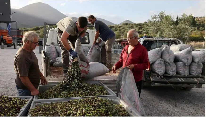 Γιατί εκτοξεύτηκε η τιμή του ελαιολάδου - Η ανάλυση του Economist