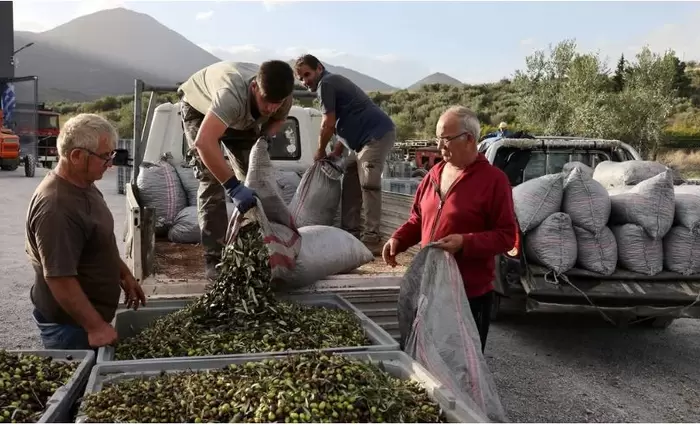 Γιατί εκτοξεύτηκε η τιμή του ελαιολάδου - Η ανάλυση του Economist