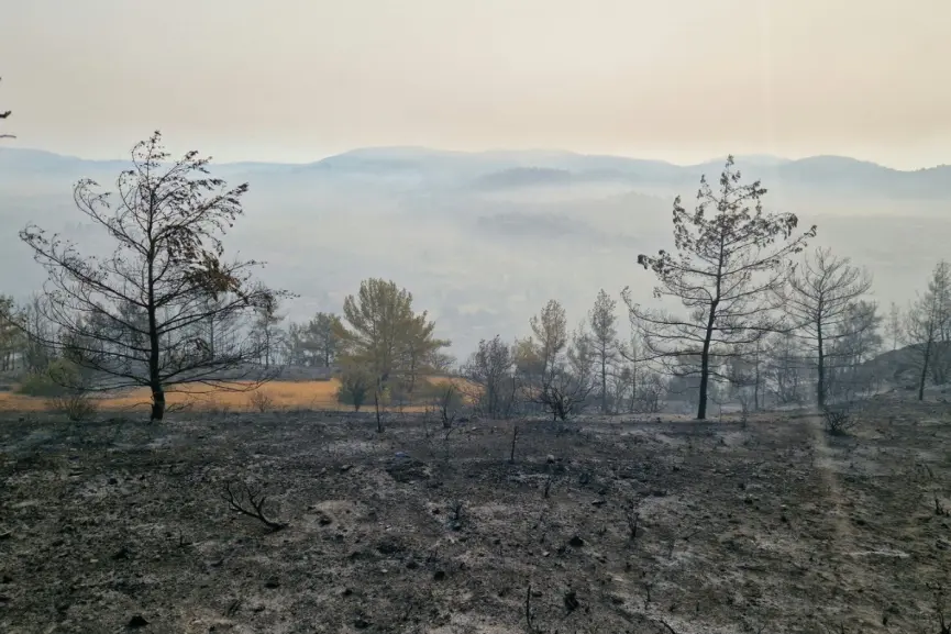 Πάνω από 500 αιτήσεις επαναδραστηριοποίησης στις πυρόπληκτες περιοχές