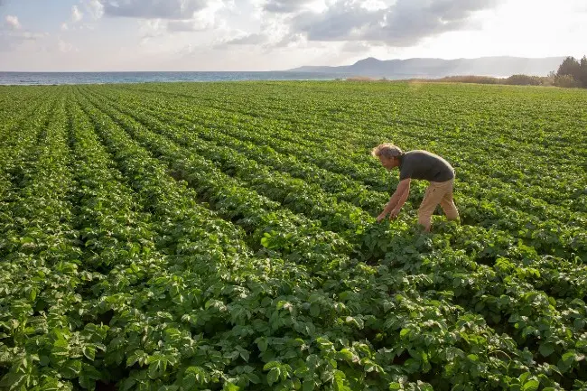 Πραγματοποιείται στη Λάρνακα το 2ο CyFood B2B Forum