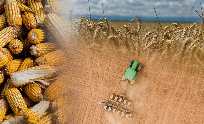 FAO: Σε υψηλό διετίας εκτινάχθηκαν οι τιμές των τροφίμων