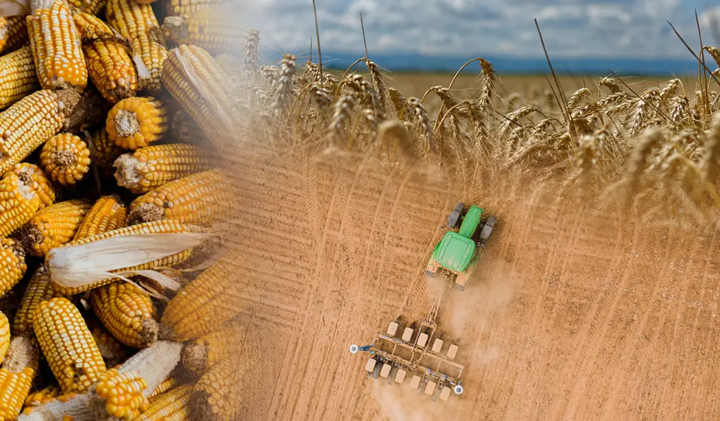 FAO: Σε υψηλό διετίας εκτινάχθηκαν οι τιμές των τροφίμων