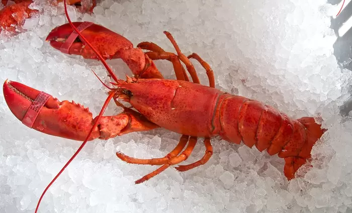 Ε.Ε: Κατάργηση των δασμών για αστακούς από τις ΗΠΑ