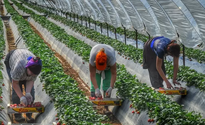 Ποσό $2,2 δισ. έστειλαν τον Φεβρουάριο στη χώρα τους οι Πακιστανοί εργαζόμενοι