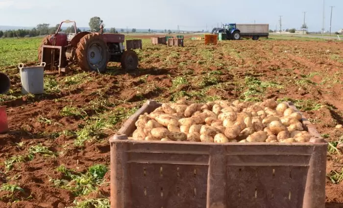 Ζητούν πρόσβαση στο επενδυτικό μέτρο και για μη επαγγελματίες οι αγροτικές οργανώσεις