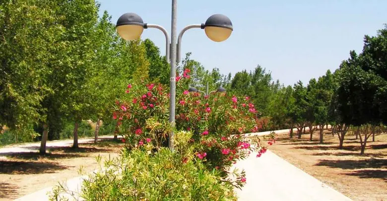 Ολική ανάπλαση 25 εκατομμυρίων κατά μήκος του Πεδιαίου