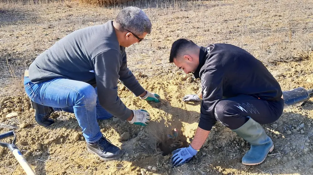 cdbbank και Ίδρυμα Λαόνα ενώνουν δυνάμεις για την προστασία του περιβάλλοντος