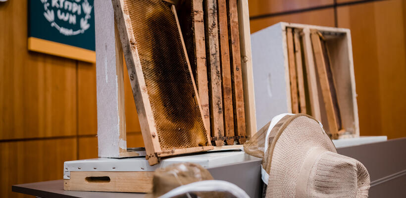 Ίδρυση Κέντρου Τεχνητής Αναπαραγωγής Βασίλισσας – Μέλισσας «Μέλισσα Ζωή»