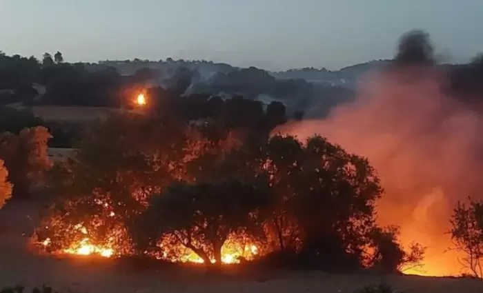 Κυβερνητική δέσμευση για αποζημιώσεις στους πληγέντες από την πυρκαγιά στην Πάφο