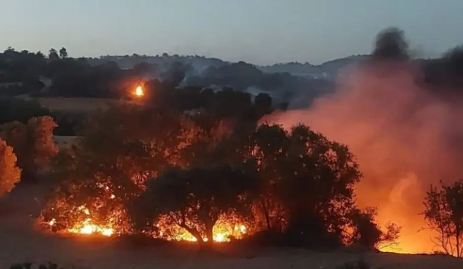 Κυβερνητική δέσμευση για αποζημιώσεις στους πληγέντες από την πυρκαγιά στην Πάφο