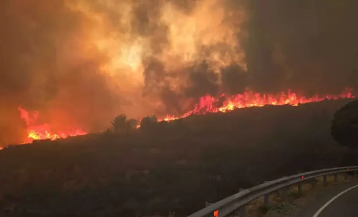 Στη Μαλιά οι Αμερικανοί εμπειρογνώμονες για αυτοψία στο σημείο έναρξης της πυρκαγιάς