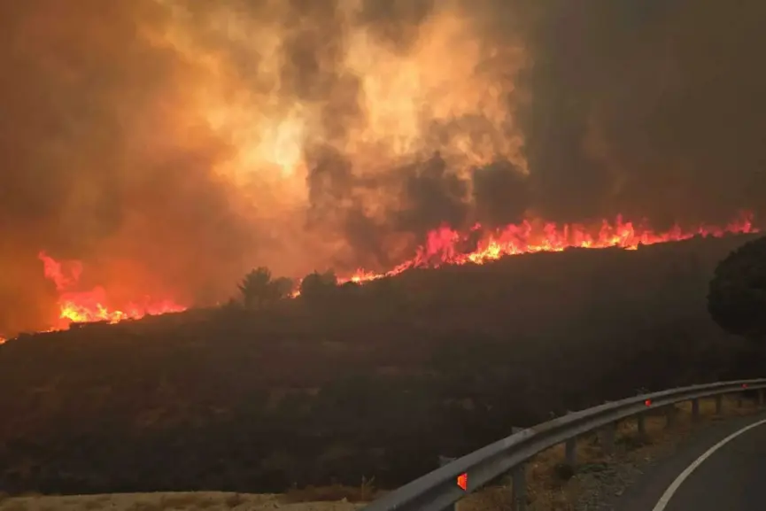 Στη Μαλιά οι Αμερικανοί εμπειρογνώμονες για αυτοψία στο σημείο έναρξης της πυρκαγιάς