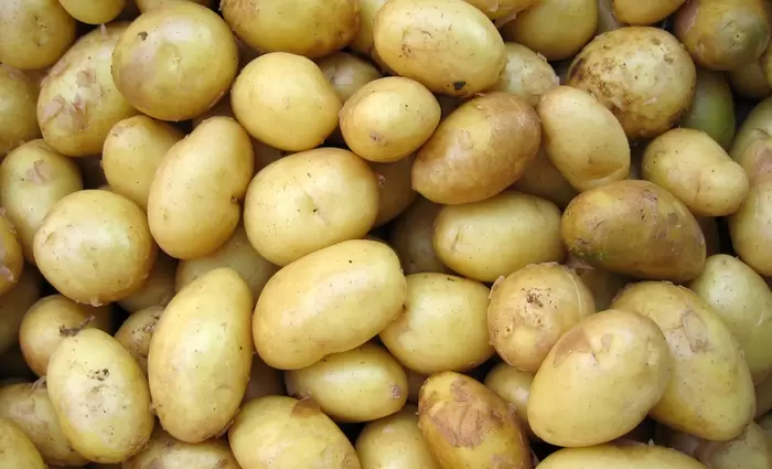 Δόθηκαν οι αποζημιώσεις για ζημιές στις πατάτες