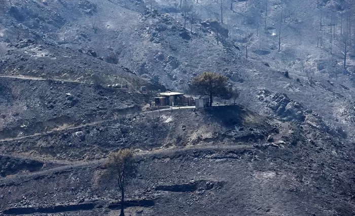 Η Τρ. Κύπρου αναλαμβάνει τα έξοδα μεταφοράς των τεσσάρων θυμάτων στην Αίγυπτο