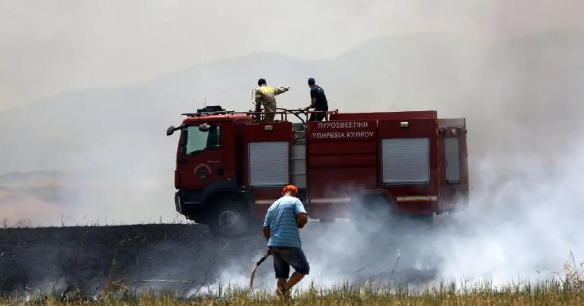 Στο Υπουργικό το σχέδιο αποζημιώσεων για πυρόπληκτους αγρότες