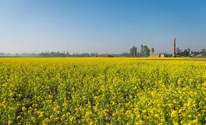 Η πολιτεία στηρίζει την αναβάθμιση της υπαίθρου