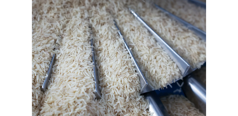 Υποχωρεί σε χαμηλό δεκαετίας η τιμή αναφοράς του ρυζιού