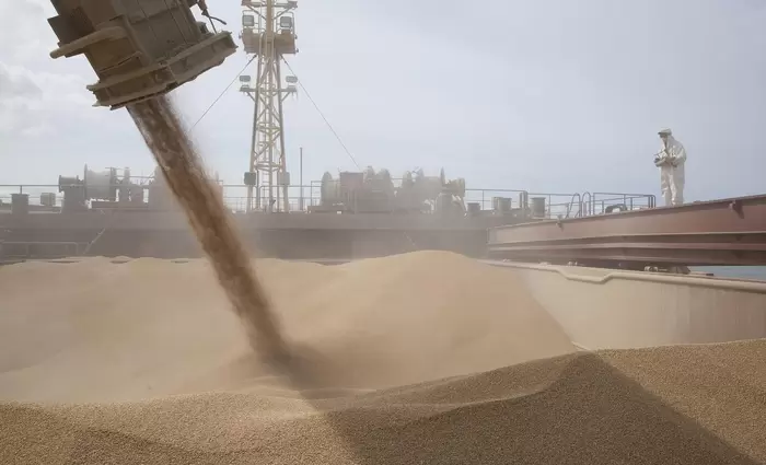 Η Ρουμανία έτοιμη για τη μεγαλύτερη συγκομιδή σιταριού από το 1997