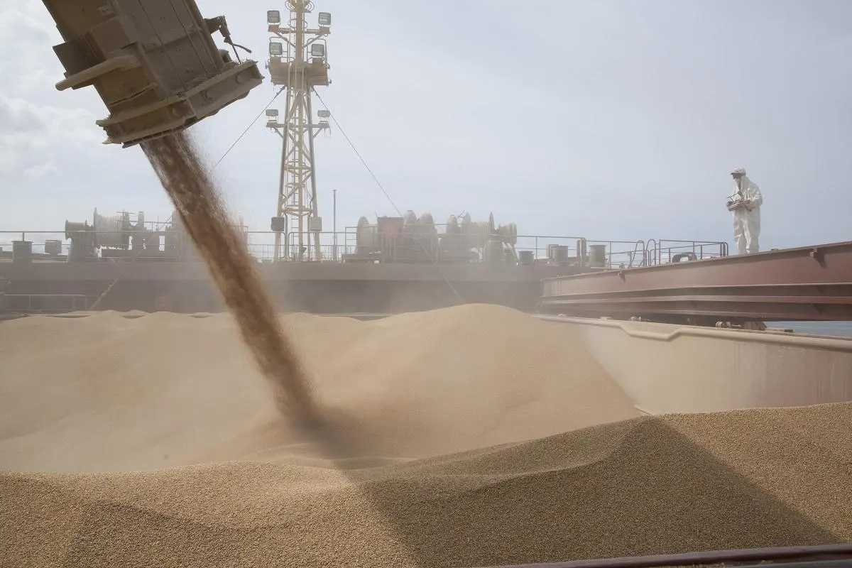 Η Ρουμανία έτοιμη για τη μεγαλύτερη συγκομιδή σιταριού από το 1997