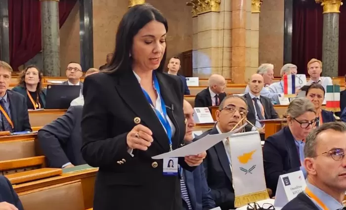 Πιο αυστηρούς δημοσιονομικούς κανόνες, εισηγείται η Σάβια Ορφανίδου