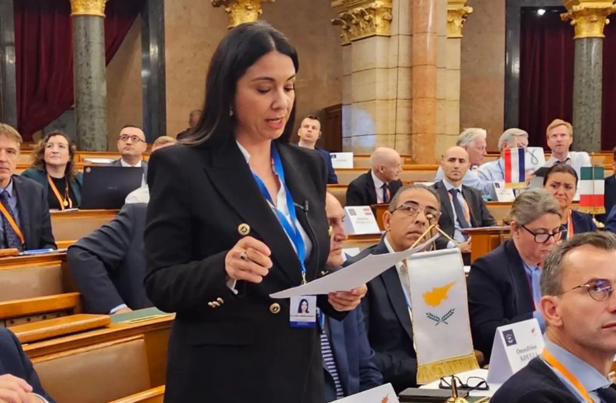 Πιο αυστηρούς δημοσιονομικούς κανόνες, εισηγείται η Σάβια Ορφανίδου