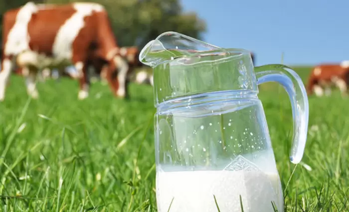 Μειώθηκε κατά 1.280 τόνους η παραγωγή αγελαδινού γάλακτος