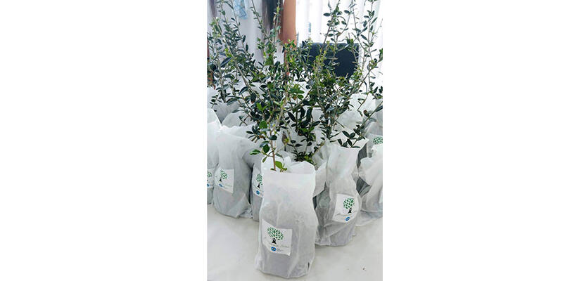 Ενέργεια Ζωής για το Περιβάλλον