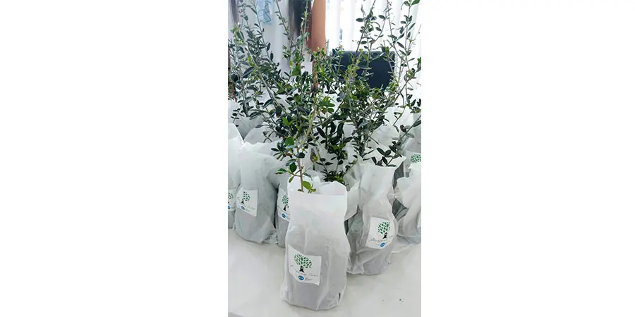 Ενέργεια Ζωής για το Περιβάλλον