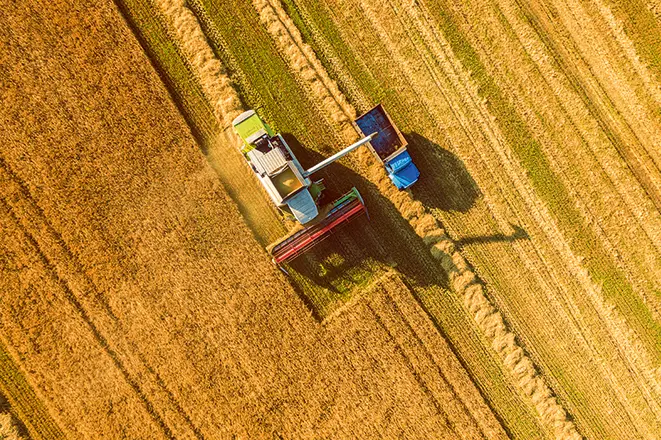 ΕΥ: Αδυναμίες στις δικλείδες ασφαλείας στο ταμείο προστασίας γεωργικής παραγωγής
