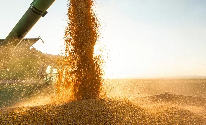 Από πού θα εξάγει 30 εκατ. τόνους σιτηρά η Ουκρανία