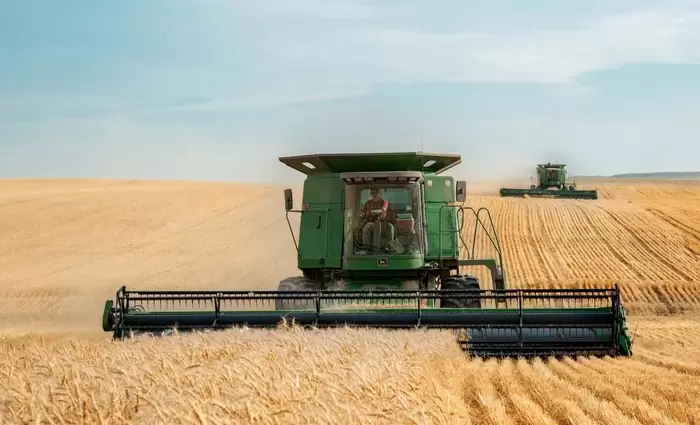 Εβδομαδιαία αύξηση πέραν του 6% στην τιμή σιταριού