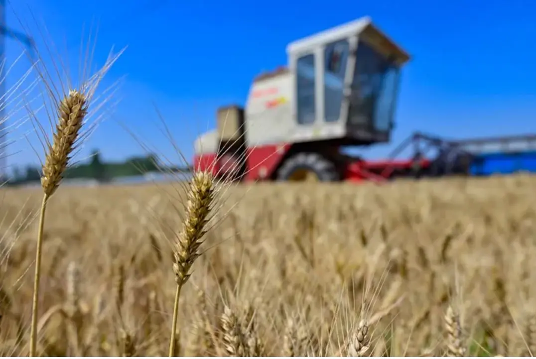 Στο έλεος του καιρού οι παγκόσμιες προμήθειες βασικών τροφίμων το 2024