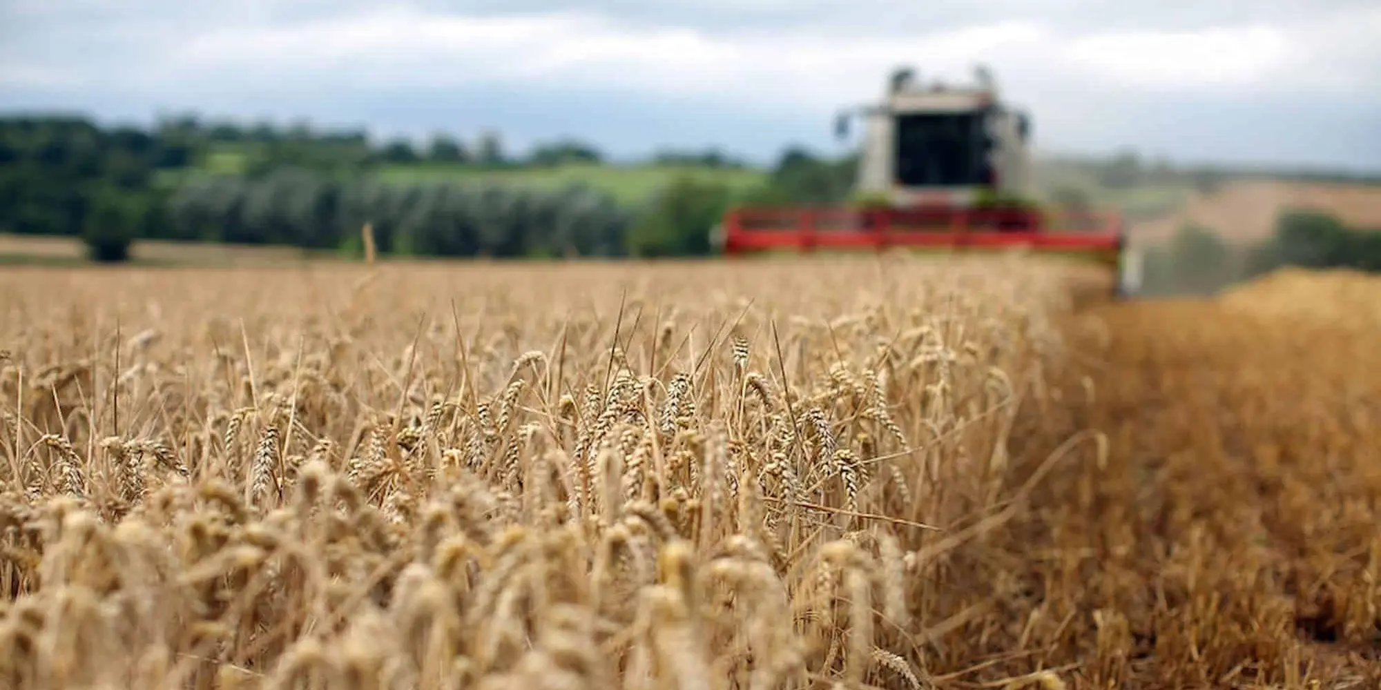 Τρόπους για εξαγωγή σιτηρών από την Ουκρανία ψάχνει η Βρετανία