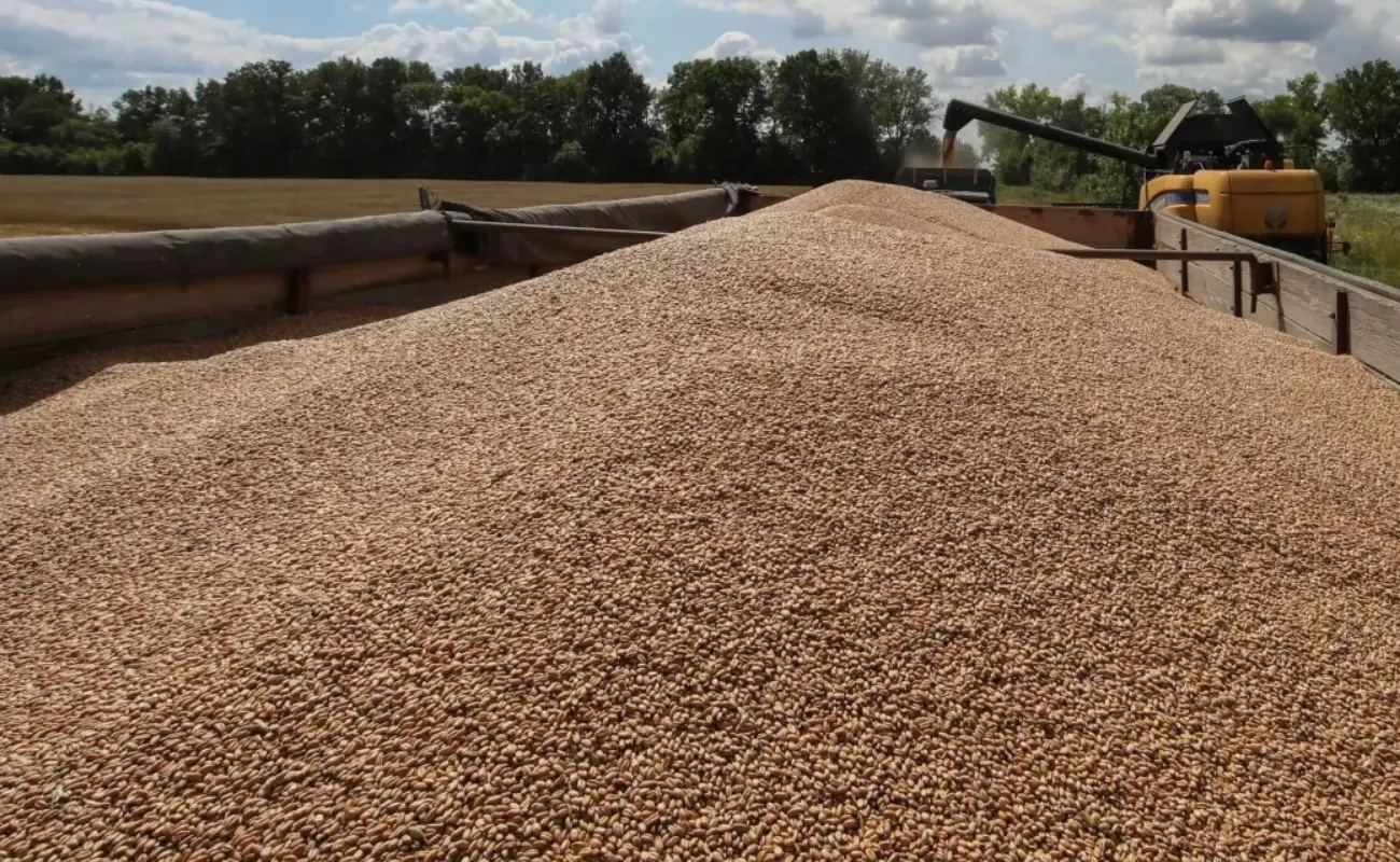 Μέχρι 31 Αυγούστου η διάθεση αραβοσίτου με διάταγμα Υπ. Γεωργίας