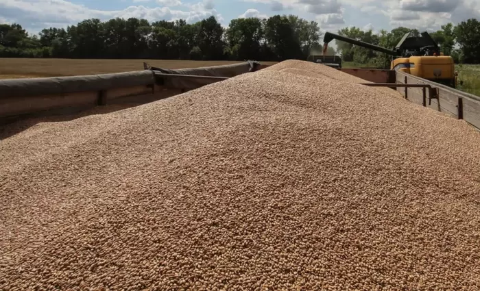 Μέχρι 31 Αυγούστου η διάθεση αραβοσίτου με διάταγμα Υπ. Γεωργίας