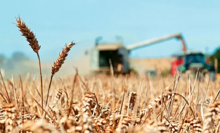 Συζητούν για τα αποκλεισμένα σιτηρά στα λιμάνια της Ουκρανίας