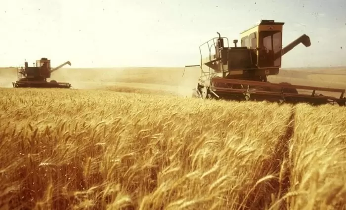 Το κράτος αγοράζει σιτηρά για την επισιτιστική κάλυψη της Κύπρου