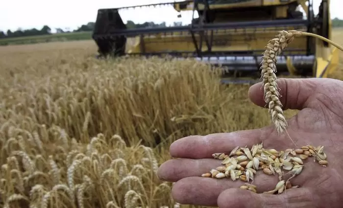 Παίρνει φωτιά ο σιτοβολώνας της Ευρώπης - Στο επίκεντρο η Επιτροπή Σιτηρών