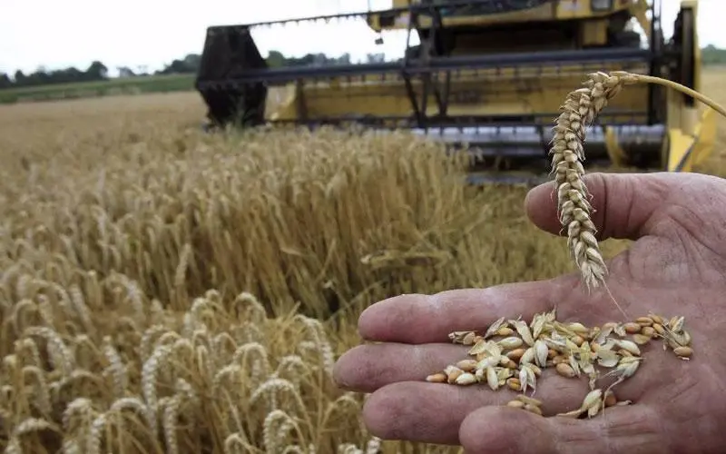 Παίρνει φωτιά ο σιτοβολώνας της Ευρώπης - Στο επίκεντρο η Επιτροπή Σιτηρών