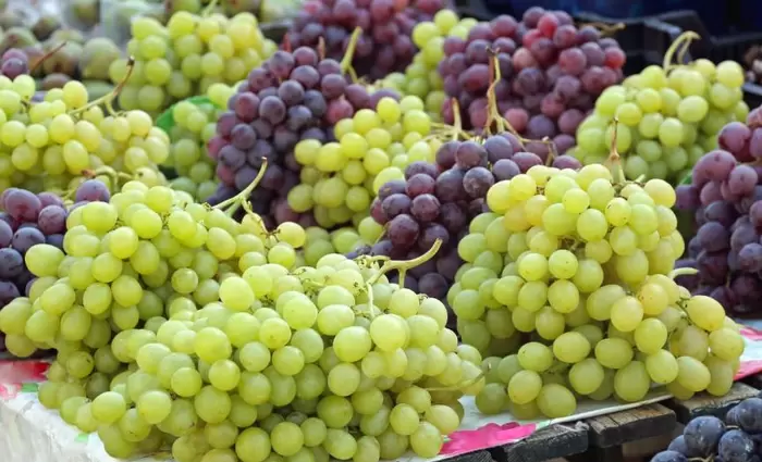 Άρχισε η παραλαβή σταφυλιών από ΣΟΔΑΠ