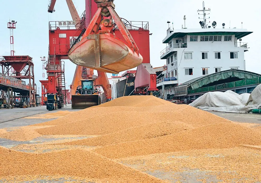 Κίνα: Καλύπτει τη δέσμευση προς τις ΗΠΑ με 12 εκατ. τόνους σόγιας