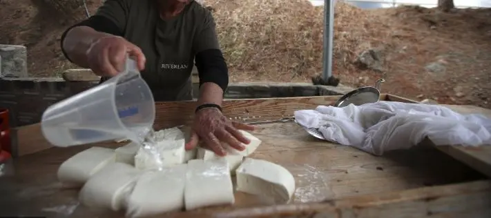 Διαμαρτυρίες Τ/κ «επειδή τους πήραν το χαλλούμι οι Τούρκοι»