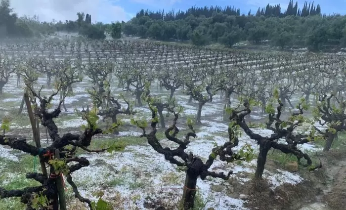 Χορηγίες ύψους €2 εκατ. για θωράκιση καλλιεργειών από χαλάζι και βροχή