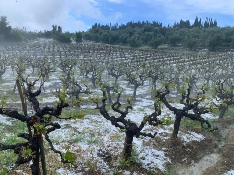 Χορηγίες ύψους €2 εκατ. για θωράκιση καλλιεργειών από χαλάζι και βροχή