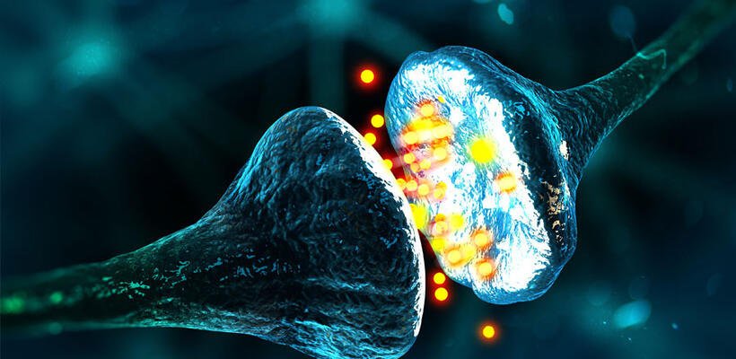 Δημιουργήθηκαν οι πρώτοι τεχνητοί νευρώνες στον κόσμο